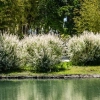 Shutterstock 1994436572 1
