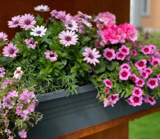 Jardiniere fleurie