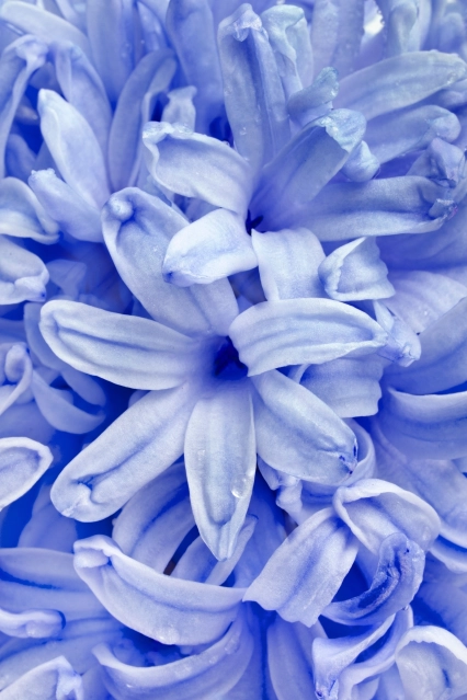 Shutterstock 148288727