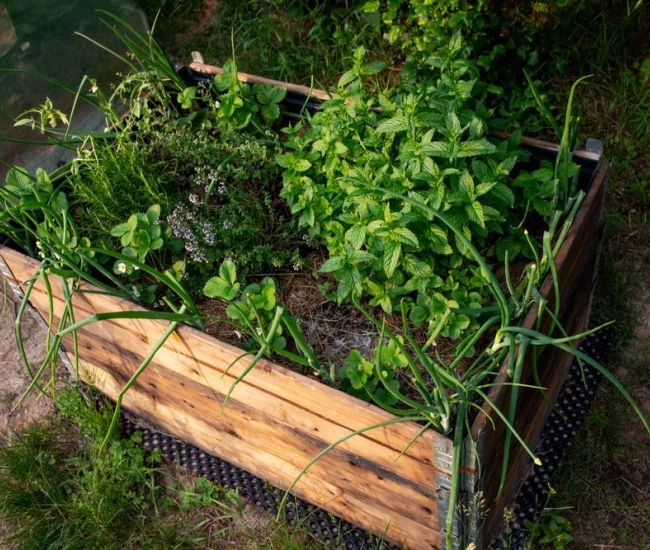 Potager