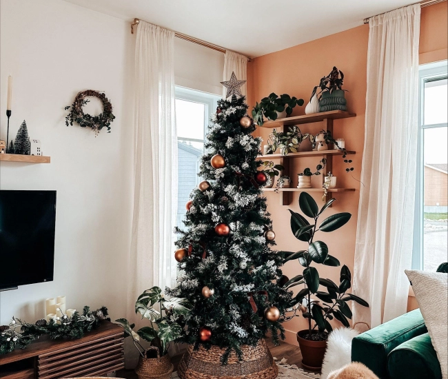 Plantes decor noel boho