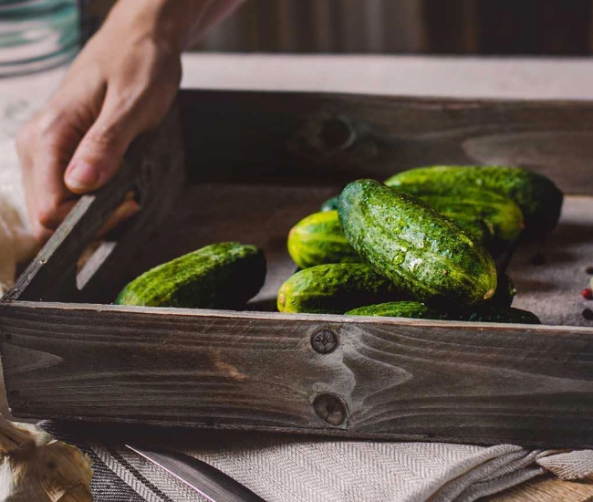 Concontre roi du potager