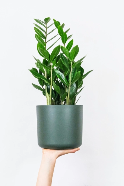 Feey c Laaxa4 D Snc unsplash 2