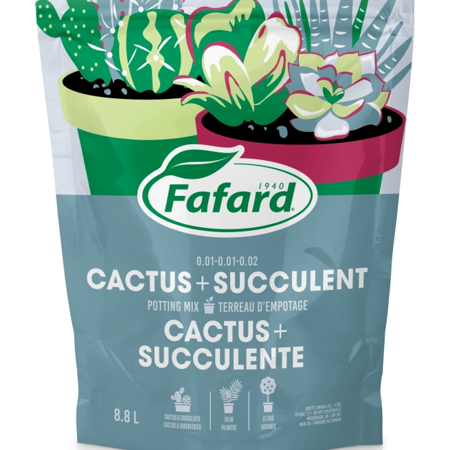 Terreau cactus Fafard